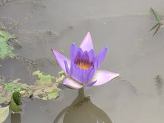 -云溪植物园