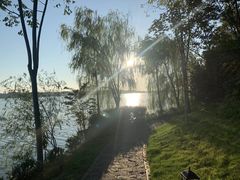 -仙湖旅游度假区