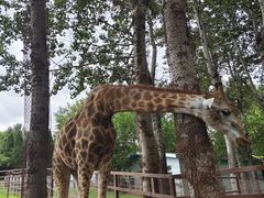 -大连森林动物园