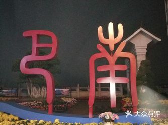 走一一去巴南龙洲湾看菊花