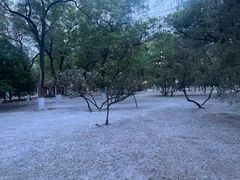-哈尔滨极乐寺