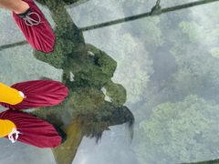 -藏龙百瀑风景区