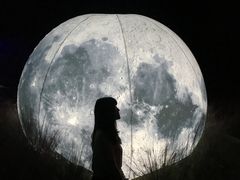 -大塘金香草谷
