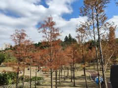 -牛岗山公园