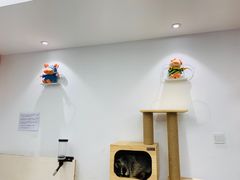 -浣熊柯尔鸭土拨鼠·电玩咖