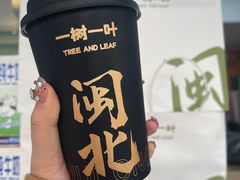 -一树一叶·福建茶档(石鼓路店)