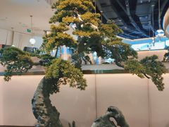 -马家斑.鲜鱼火锅(松湖万科店)