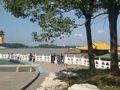 -溱湖国家湿地公园