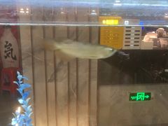 -水立方国际汤泉(六一中路店)