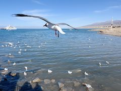 -青海湖国家重点风景名胜区