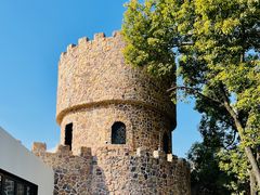 -J Create城市露营咖啡·简餐·宠物(上海动物园店)