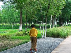 -汉长安城未央宫国家考古遗址公园