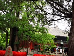 -红螺寺
