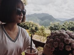 -黄色小屋