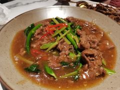 -MR鹅外
