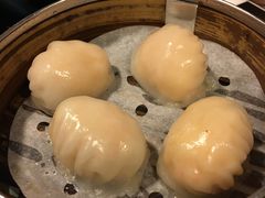 -点点心点心专门店(湾仔店)