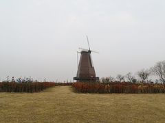 -漩门湾国家湿地公园