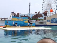 -秦皇岛乐岛海洋王国