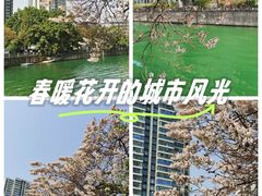 -红星桥(地铁站)