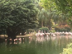 -九龙公园