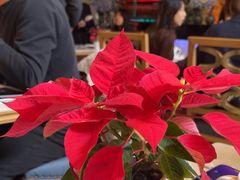 -Mezomd曼索蒂西班牙餐厅(广粤店)
