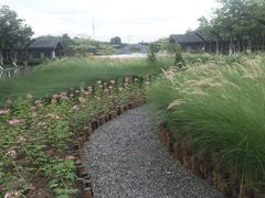 -映月湖公园