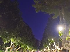 -浙江大学(玉泉校区)
