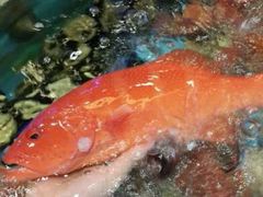 android_upload_pic-宜宾海鲜酒家·三十年老字号