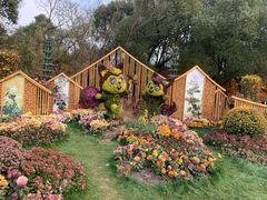 -上海共青森林公园