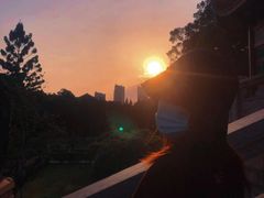 -金鸡山公园