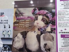 -北京观赏动物医院·24小时大型综合·猫专科·异宠专科