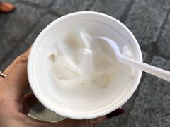 -洪馨椰子