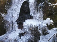 -东白山