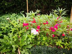 -广州神农草堂中医药博物馆