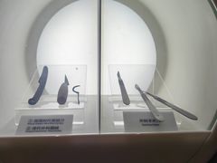 -广东科学中心