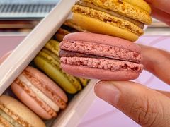 -Pierre Marcolini(德基广场店)