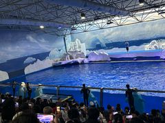 -南戴河国际娱乐中心