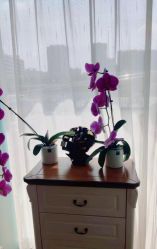 -联合丽格·张菡丽格医疗美容