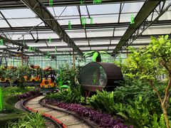 -南宫五洲植物乐园