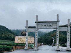 -龙坞茶村