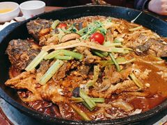 -老板恋上鱼(恒隆广场店)