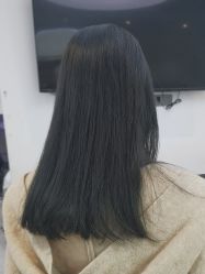 -YESIDO椰岛造型