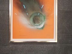 -富豪雪糕车流动点(尖沙咀店)