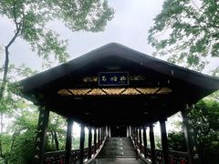 -长广溪湿地公园