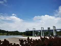 -东莞植物园