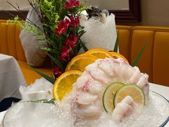 涮食河豚鱼-鲐赏河豚(长寿店)