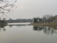 -东郊湿地公园