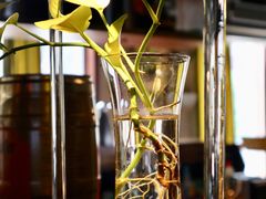 -繁花里音乐餐厅(新天地店)