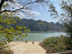 -羚羊峡古栈道森林公园