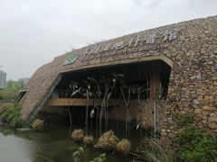 -洋湖国家湿地公园
